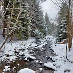 Szumidomki Strefa Z Jacuzzi Sauna Widok Na Potok Zawoja