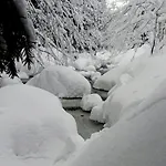 Szumidomki Strefa Z Jacuzzi Sauna Widok Na Potok Lejlighed Zawoja