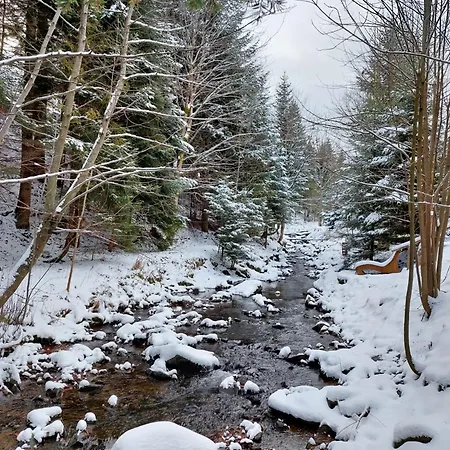 Szumidomki Strefa Z Jacuzzi Sauna Widok Na Potok זאבוייה