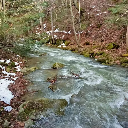 Szumidomki Strefa Z Jacuzzi Sauna Widok Na Potok זאבוייה