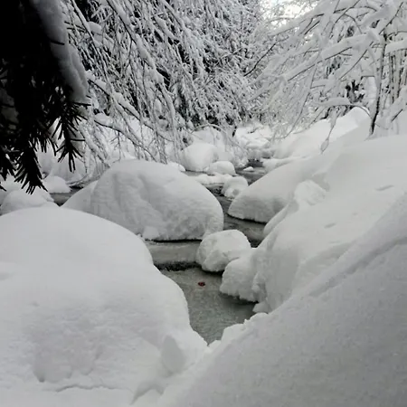 Szumidomki Strefa Z Jacuzzi Sauna Widok Na Potok דירה זאבוייה