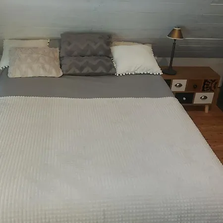 Apartment Zielono Mi Z Jacuzzi Sauna Strumien Las