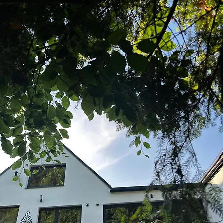Szumidomki Strefa Z Jacuzzi Sauna Widok Na Potok *